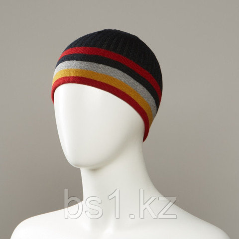 Horizon Stripe Beanie