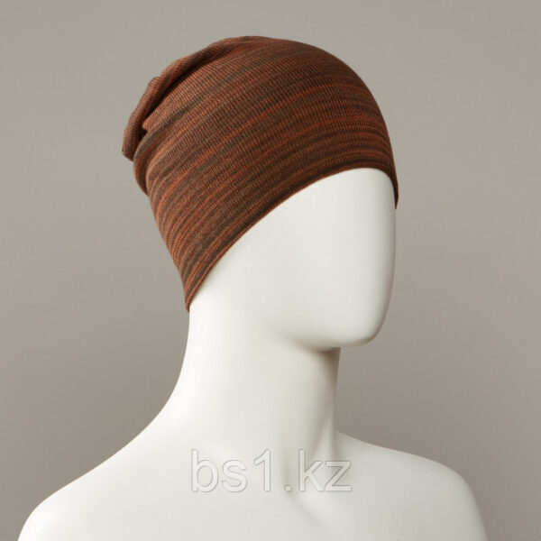 Terroir Stripe Slouch Beanie